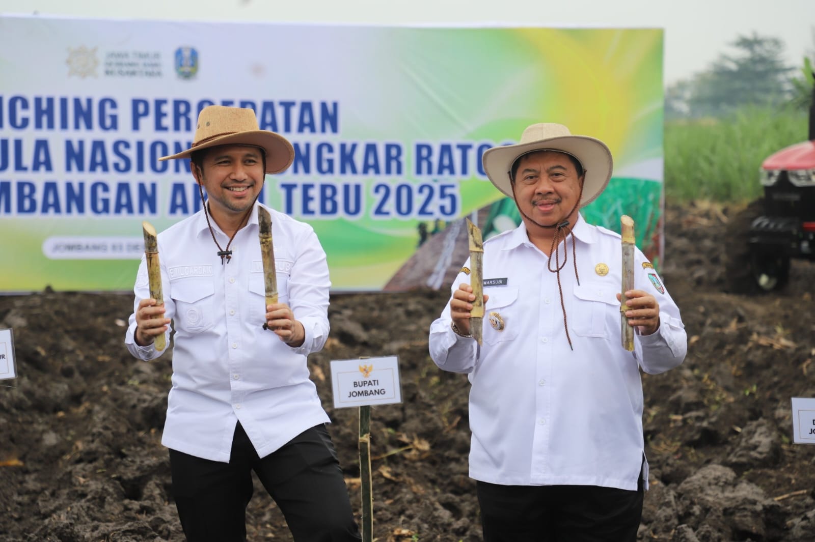 Dukung Swasembada Gula Nasional 2028, Jombang Serius Remajakan Tebu Tua Lewat Program Bongkar Ratoon