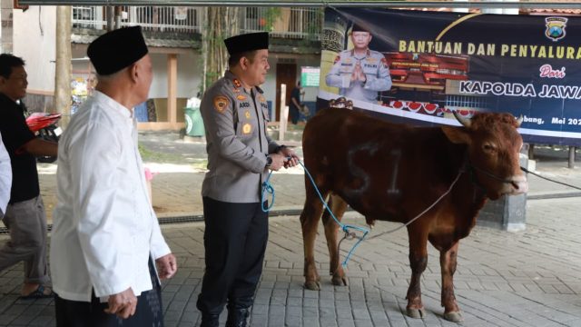 Hewan Kurban Sapi dari Kapolda Jatim Diserahkan Kapolres Jombang ke Dua Ponpes di Jombang