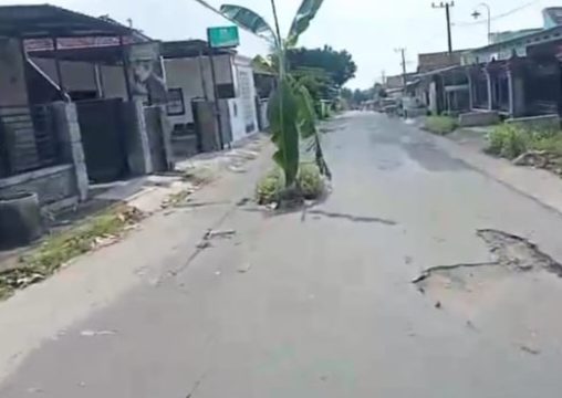 Warga Tanam Pohon Pisang di Jalan Rusak, Bentuk Protes dan Antisipasi Kecelakaan Pengendara