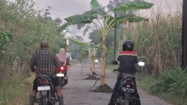 6 Tahun Terabaikan, Warga Tanjungsari Geram dan Tanam Pohon Pisang di Tengah Jalan