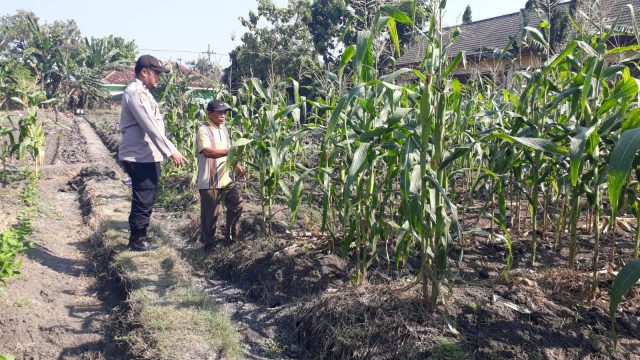 Polsek Kabuh Ajak Masyarakat Optimalkan Lahan Demi Perkuat Ketahanan Pangan